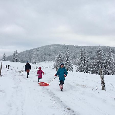 Chata Waliszow Nowy Waliszow Екстериор снимка