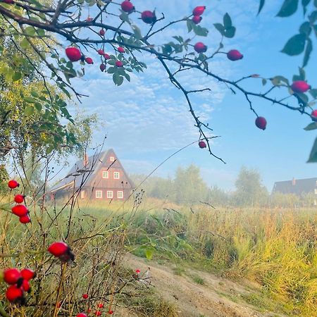 Chata Waliszow Nowy Waliszow Екстериор снимка